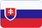 9.VLNA CASTING Slovensky